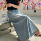 dani denim skirt